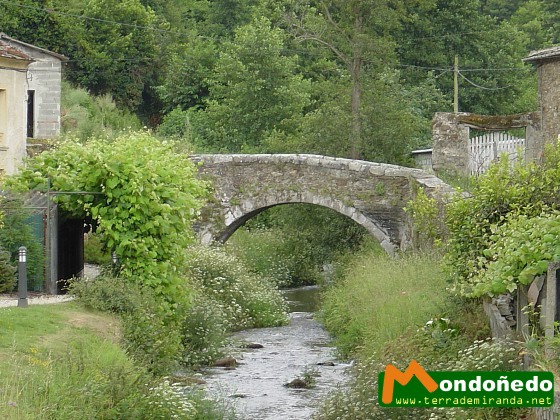 Ponte Pasatempo
Antigua vía de entrada a la ciudad. Ponte dos Ruzos.
