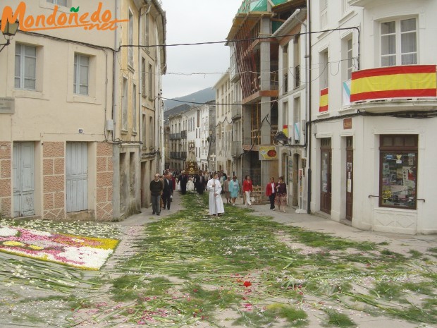 Corpus 2006
Alfombras florales
