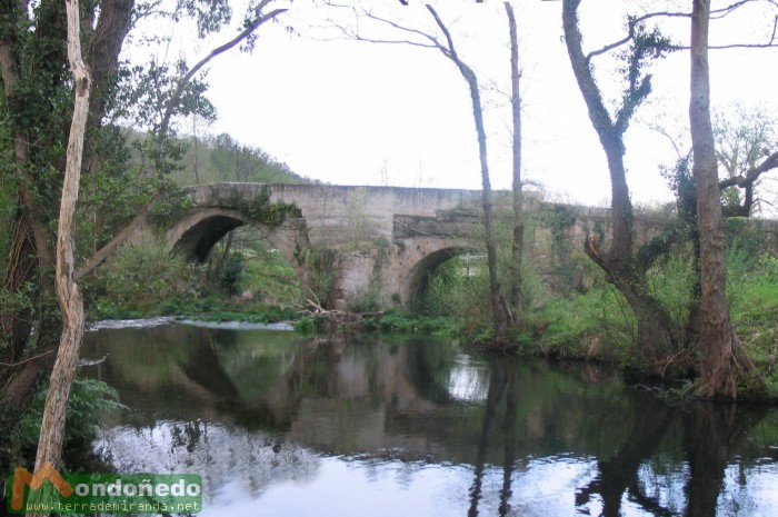 Puente de Viloalle
Imágenes de los ríos de Mondoñedo.
