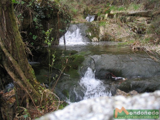 Saltos de agua
Imágenes de la naturaleza.
