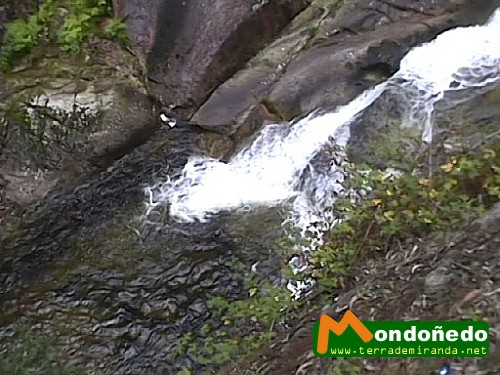 A Fervenza
Uno de los saltos de agua del area recreativa de A Fervenza.
