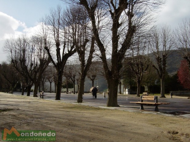 Alameda
Los árboles de la Alameda dos Remedios en otoño.
