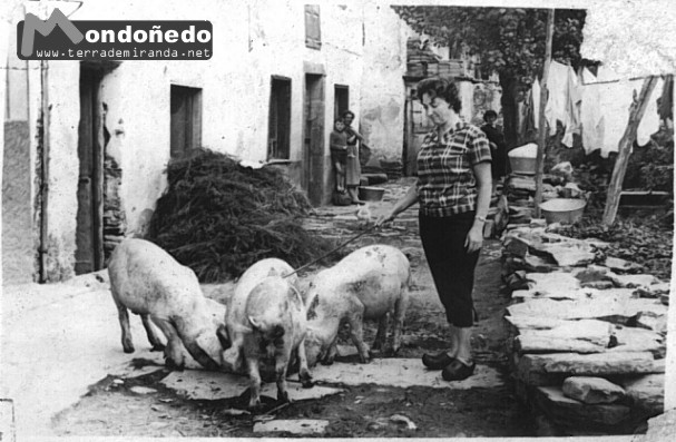 Rúa das Moscas
Rúa das Moscas en el barrio de Os Muíños.
