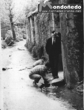 Camino da Fonte
Camino de la Fonte dos Pelamios en el barrio de Os Muíños.
