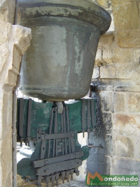 Campanas de la Catedral
La Paula preparada para tocar.
