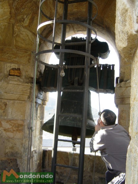 Catedral
Tocando las campanas
