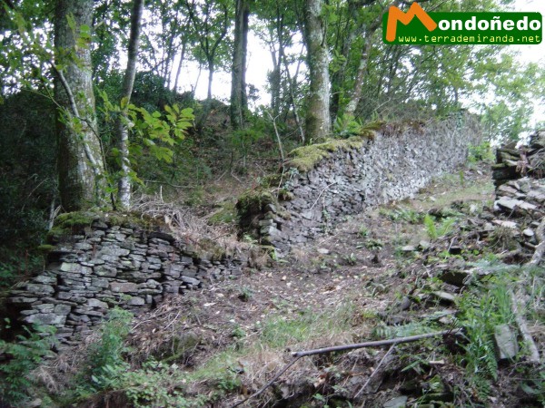 Fotos de las excavaciones.
Muralla exterior del castro.
