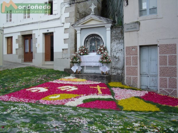 Corpus 2004
Alfombra de flores en el Cristo.
