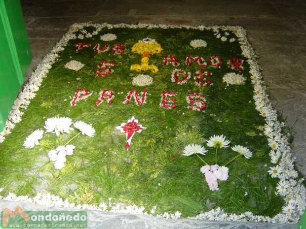 Corpus 2004
Una alfombra de Corpus en el Convento de la Concepción.
