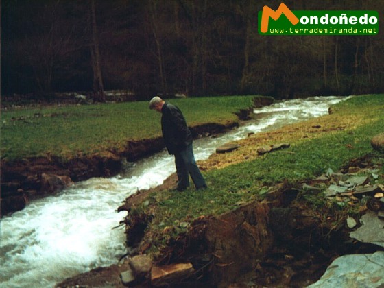 Crecida
Crecida del río Valiñadares en invierno.
