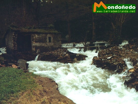 Crecida
El río Valiñadares durante una crecida.
