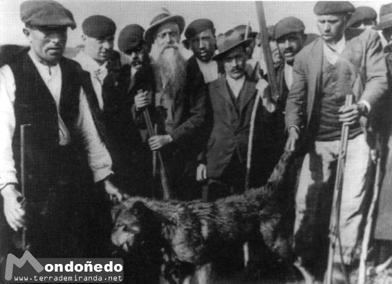 Lence Santar
Imagen de Lence Santar en una cacería de lobos.
