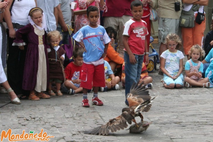 Mercado Medieval 2006
Exhibición de caza con aves
