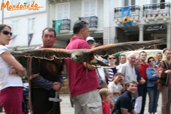 Mercado Medieval 2006
Vuelo de aves
