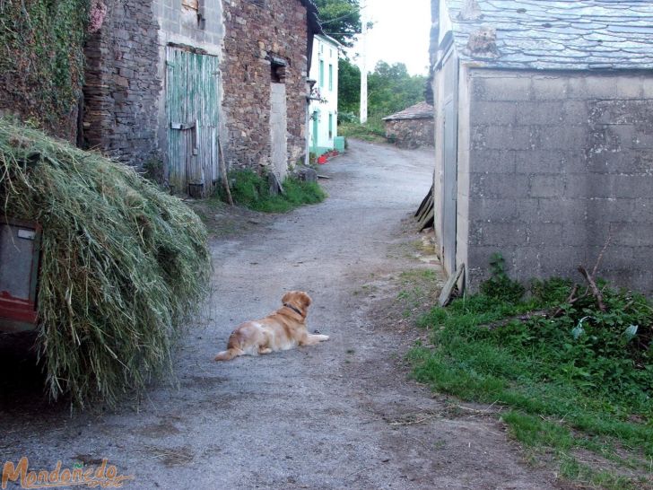 Zoñán
Foto de Antón Reigosa
