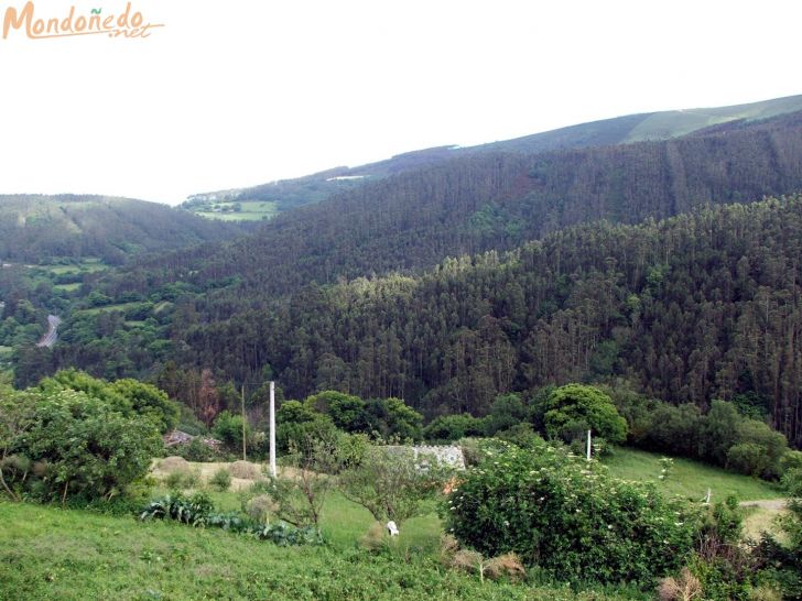 Zoñán
Foto de Antón Reigosa
