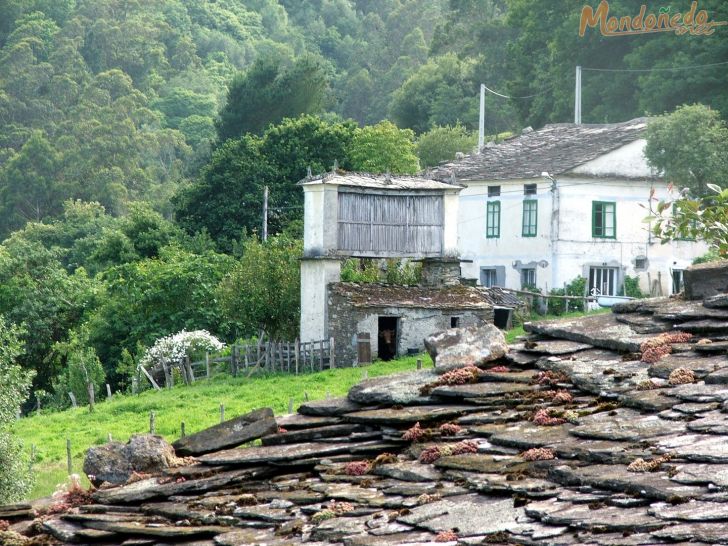 Zoñán
Foto de Antón Reigosa
