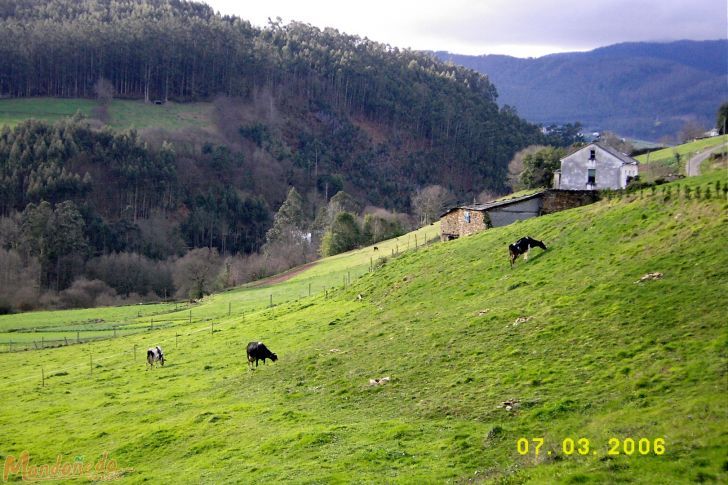 A Fabega
Foto enviada por Anxo García
