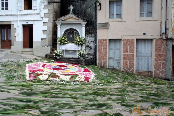 Corpus 2007
Alfombras florales
