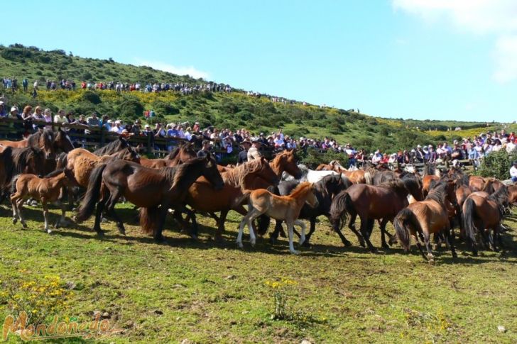 Rapa das Bestas 2007
Juntando los caballos
