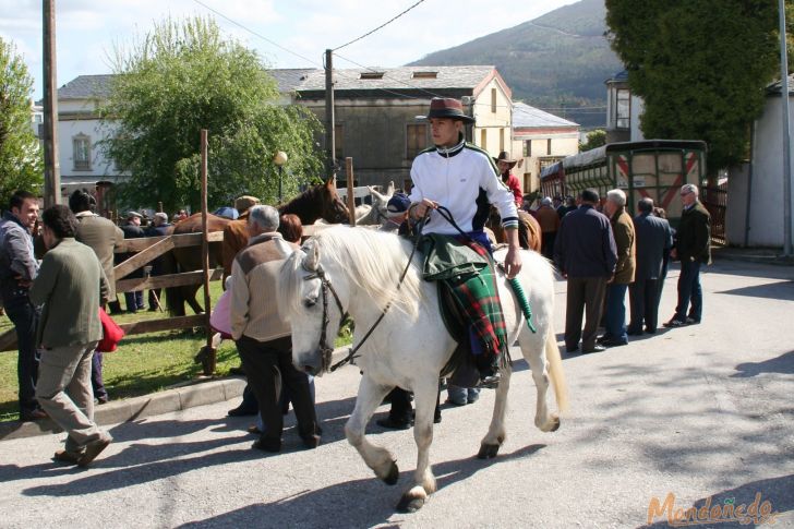 As Quendas 2009
En la feria
