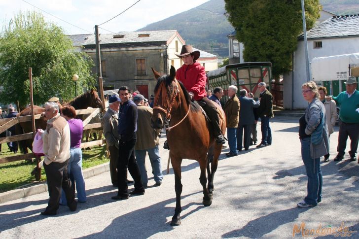 As Quendas 2009
En la feria
