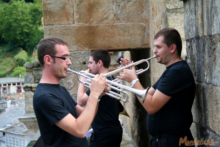 Nocturno para aullidos y pezuñas
Músicos encima de la Catedral
