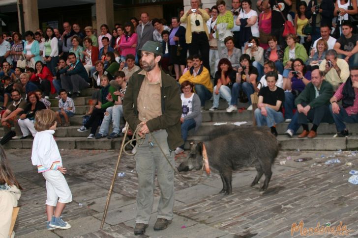 Nocturno para aullidos y pezuñas
Con un jabalí
