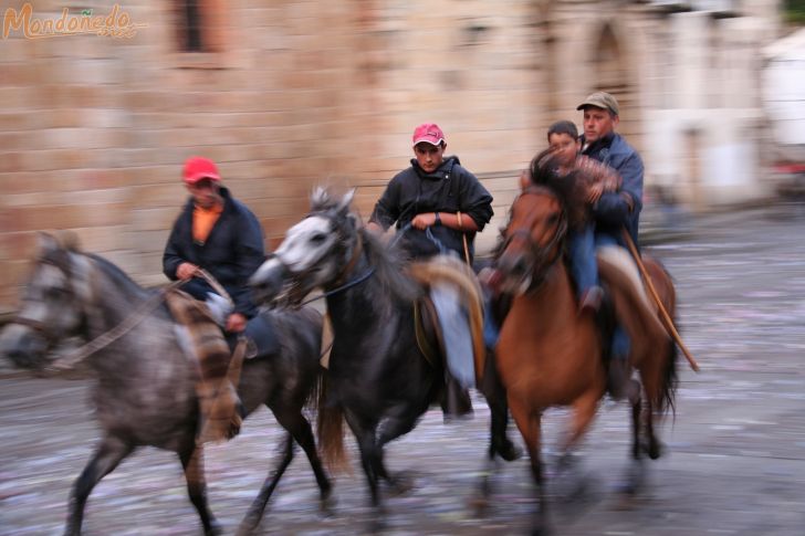 Nocturno para aullidos y pezuñas
A galope
