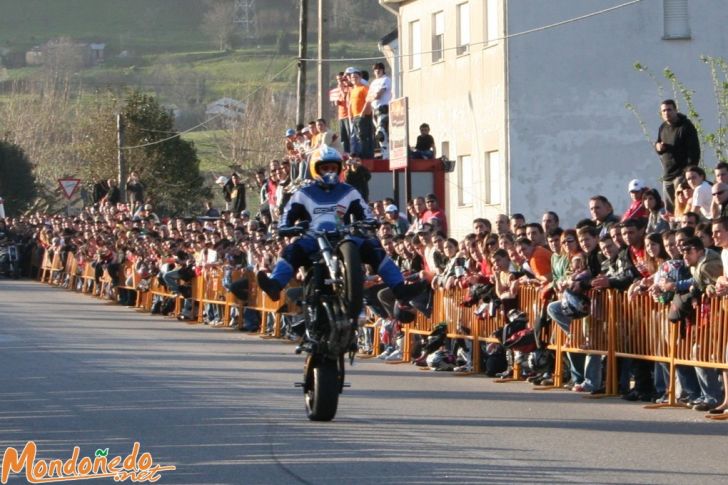 Concentración de Motos
Espectáculo de Animal
