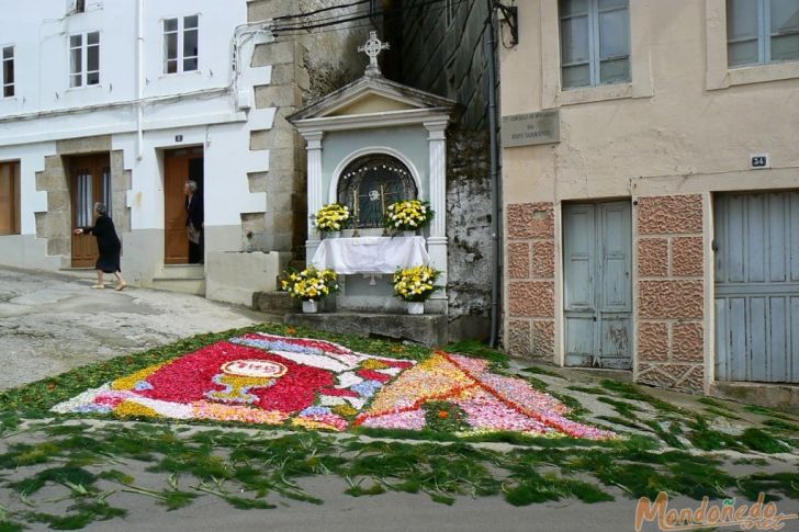 Domingo de Corpus
Alfombras de flores
