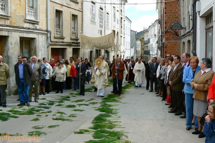 Domingo de Corpus
Procesión de Corpus
