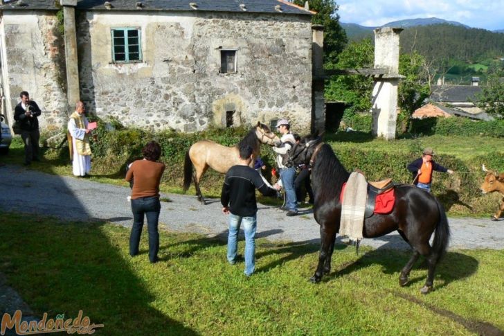 Fiestas en Oirán
Bendición de los animales
