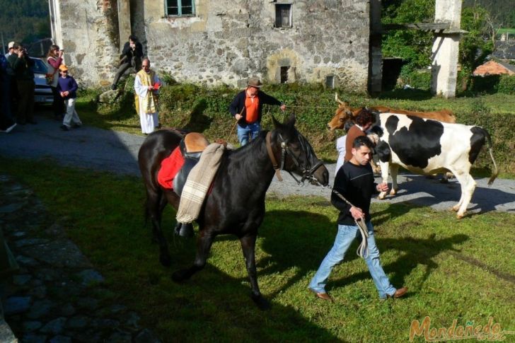 Fiestas en Oirán
Bendición de los animales
