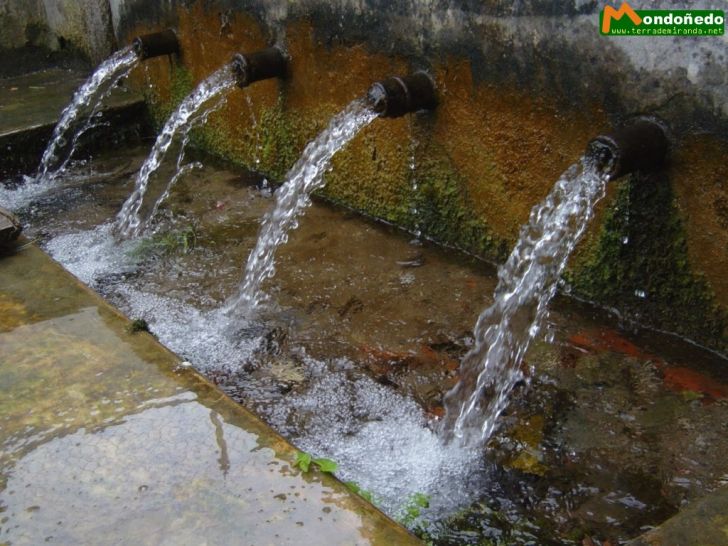 Fonte dos Pelamios
Fuente del barrio de Os Muíños.
