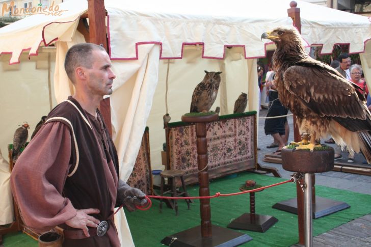 Mercado Medieval 2008
Aves de cetrería
