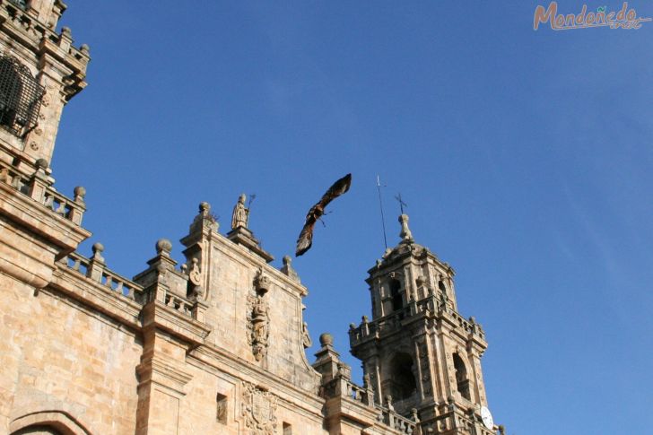 Mercado Medieval 2008
Vuelo de aves de cetrería
