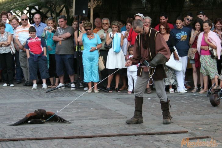 Mercado Medieval 2008
Demostración de caza
