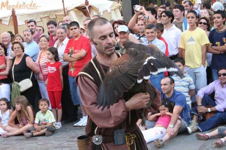 Mercado Medieval 2008
Aves de cetrería
