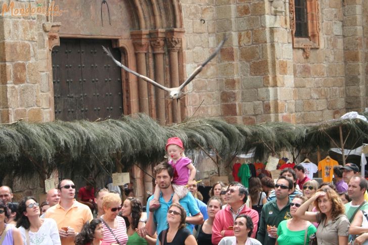 Mercado Medieval 2008
En pleno vuelo
