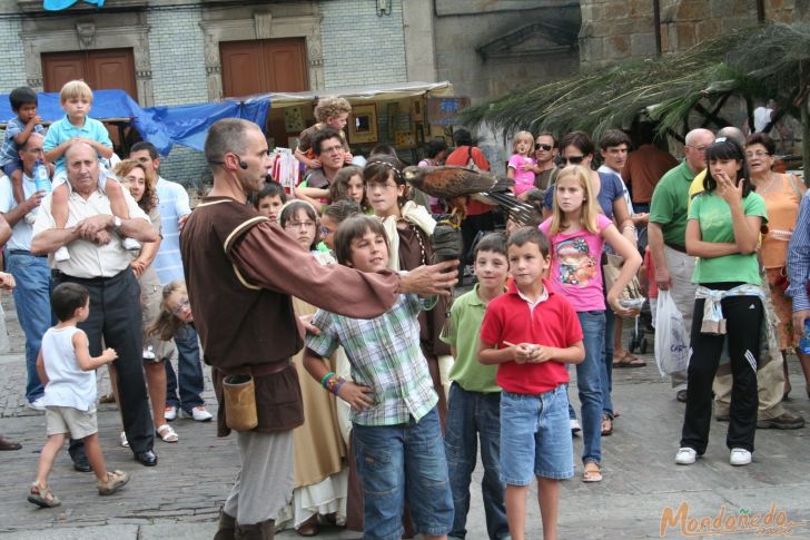 Mercado Medieval 2008
Vuelo de aves de cetrería
