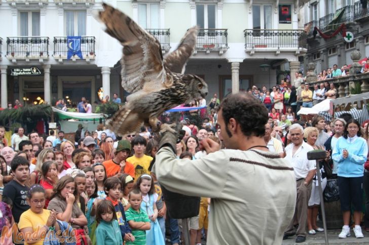 Mercado Medieval 2007
Vuelo de aves de cetrería
