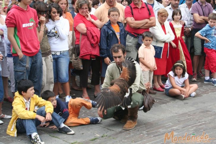 Mercado Medieval 2007
Disfrutando de los espectáculos de cetrería
