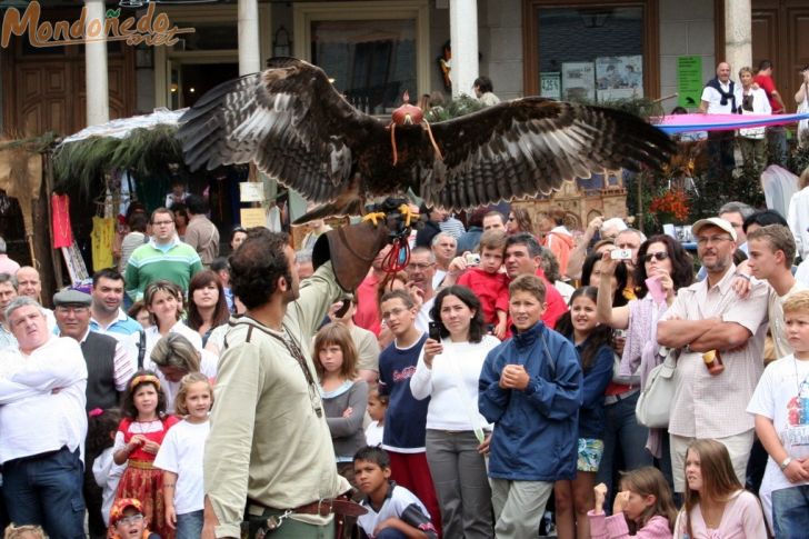 Mercado Medieval 2007
Admirando las aves de cetrería
