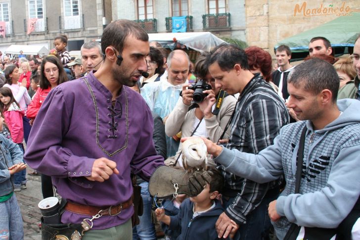 Mercado Medieval 2009
Aves de cetrería
