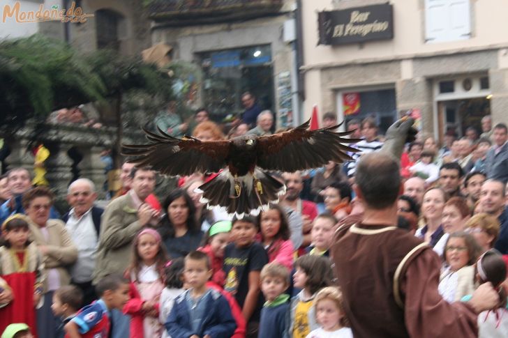 Mercado Medieval 2009
Vuelo de aves
