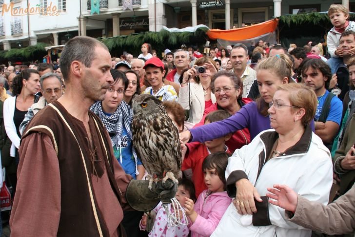 Mercado Medieval 2009
Exhibición de cetrería
