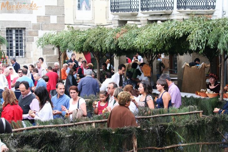 Mercado Medieval 2009
Degustación gratuita
