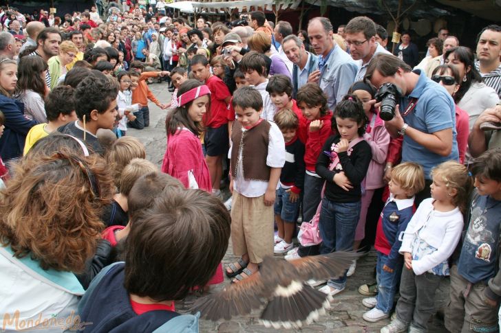 Mercado Medieval 2009
Vuelo de aves
