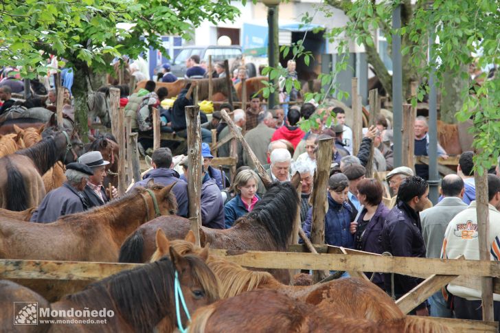 As Quendas 2010
En la feria
